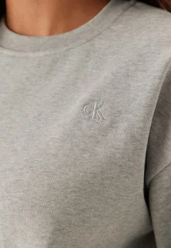 Calvin Klein Jeans Ls Archive Logo French Terry RLX